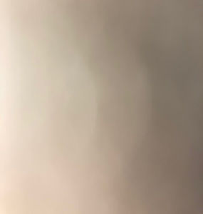 Meet your Posher, Will